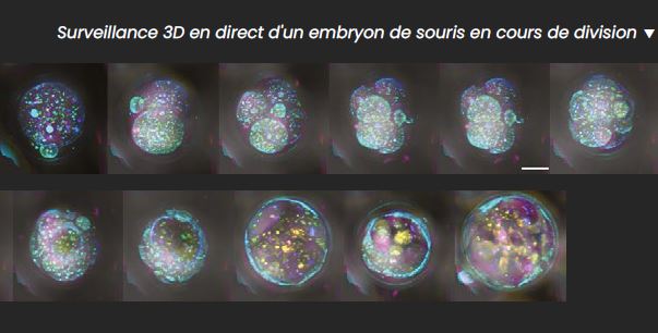 ILLU_Holophase3D_1_FR.JPG