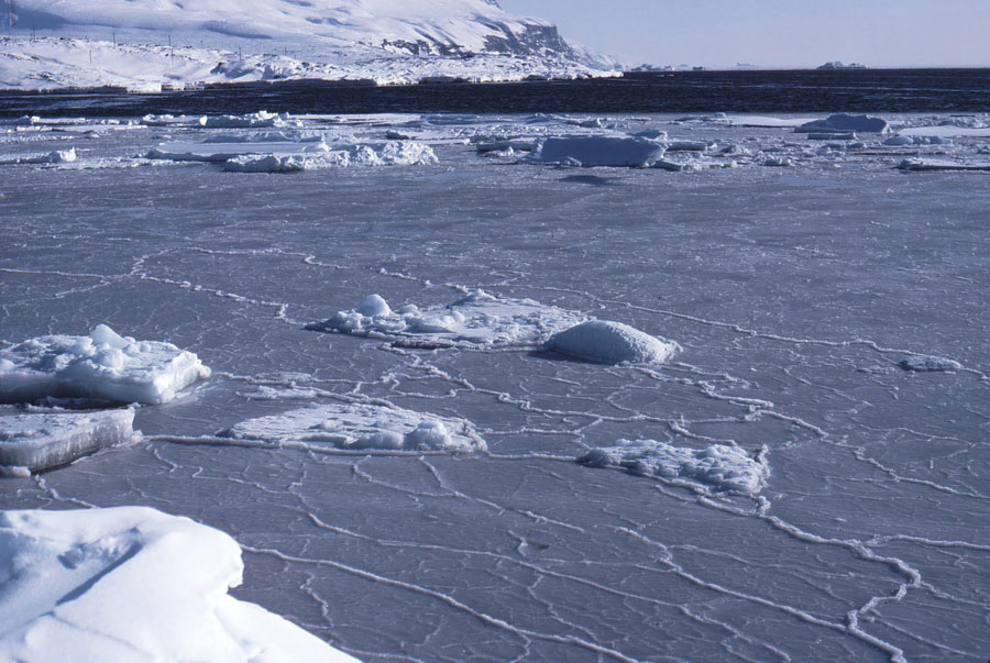 La formation de la glace de mer est responsable de la circulation thermohaline de l’océan