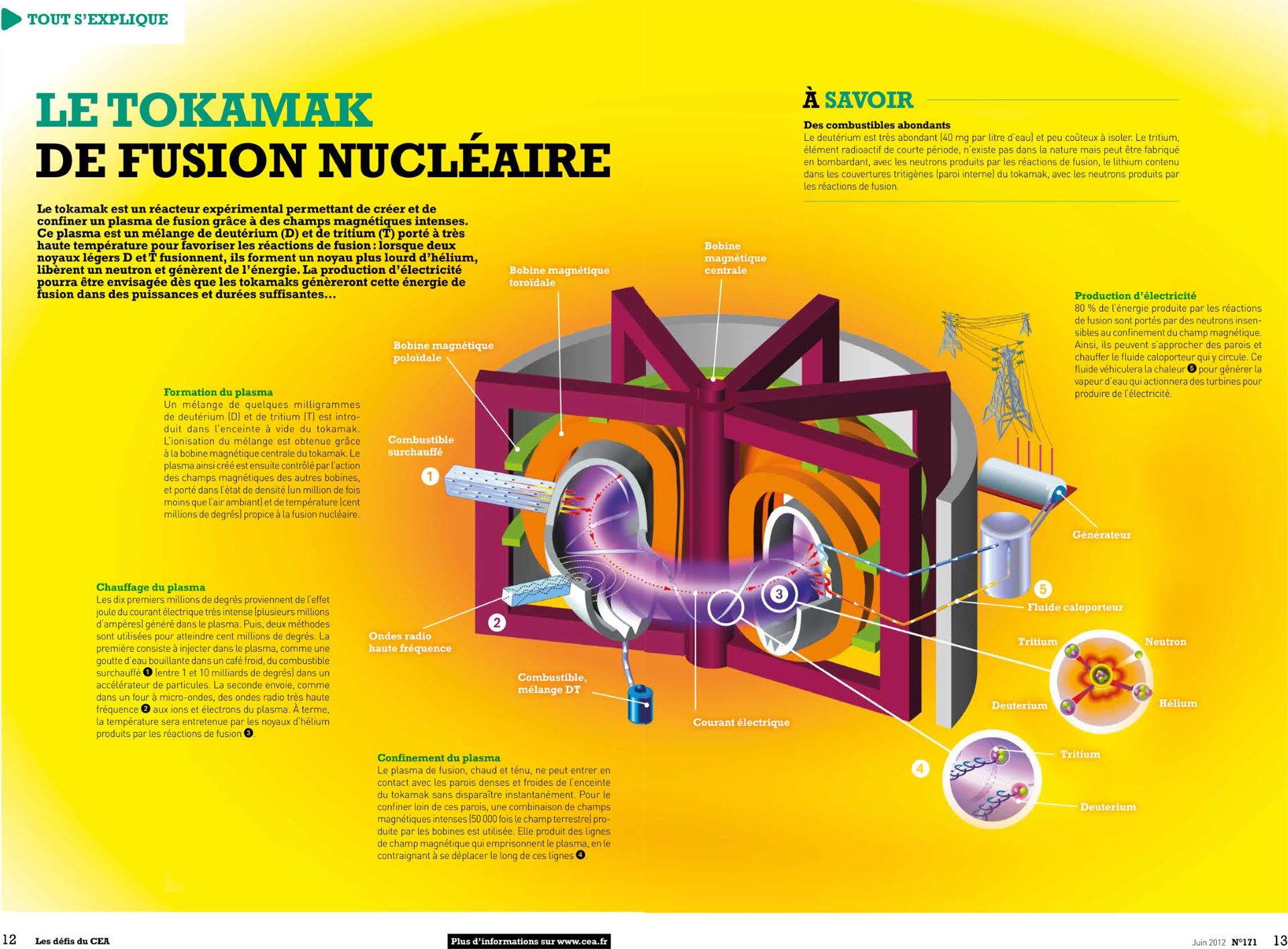 Infographie sur le tokamak de fusion nucléaire