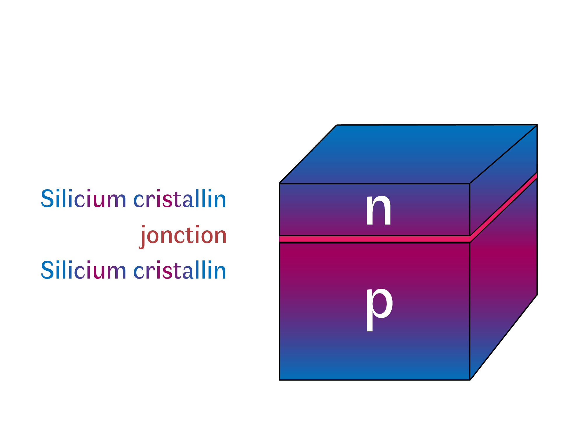 Schéma de principe de l'homojonction p-n en silicium