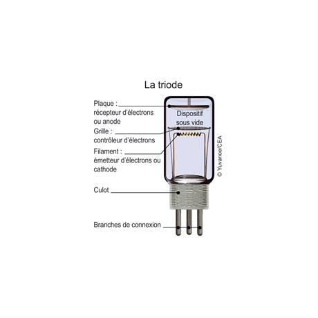 Principe de fonctionnement de la triode