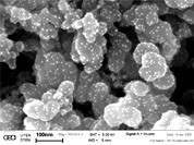 Des nanoparticules comportant du platine donnent une surface très étendue multipliant le pouvoir catalytique de cet élément