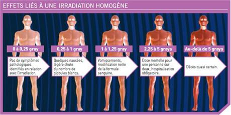 Effets liés à une irradiation homogène