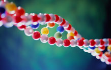 L'ADN : déchiffrer pour mieux comprendre le vivant