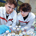 Frédéric Taran et Kahina Ouchaou travaillent sur des catalyseurs supportés permettant  l’élaboration de procédés chimiques respe