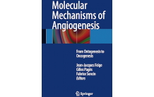 Molecular mechanisms of angiogenesis: From ontogenesis to oncogenesis