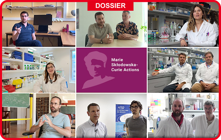 Bourses Marie Skłodowska-Curie : la DRF, terrain d’accueil des jeunes chercheurs