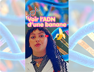 Observer l’ADN d’une banane… avec des ingrédients du quotidien !
