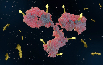 Un profilage immunologique du cancer