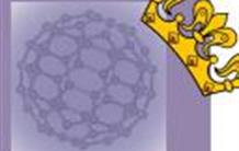 Interactions protéine-nanoparticule : le concept de couronne stable détrôné