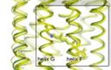 Les protéines photo-actives dévoilent leur structure