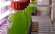 Research agreement with Canada: production of microalgae while decontaminating industrial sites