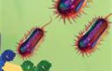 Détecter de faibles concentrations de pathogènes