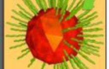 Lumière sur les nanocristaux fluorescents