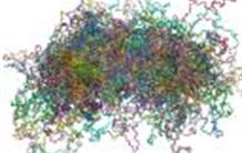 Alzheimer : une des protéines responsables vue à l’échelle atomique