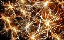 A “molecular switch” for use in optogenetics