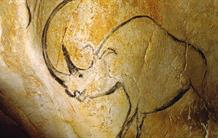 Grotte Chauvet-Pont d’Arc : l’histoire reconstituée des passages de l’Homme et de l’ours