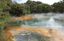 La biosphère, source de gaz à effet de serre