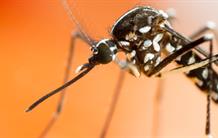 La structure de la toxine BinAB révélée