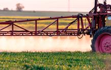 Cerveau : des molécules herbicides inductrices d’amyloïdes ?