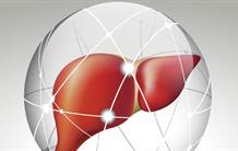 "Sucrer" les médicaments pour les expédier dans le foie