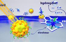 Mieux capter la lumière pour produire de l’hydrogène à partir d’eau