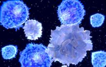 Lupus : pourquoi le système immunitaire se rebelle