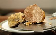 Le génome des truffes révèle le secret de la fabrication de leurs parfums