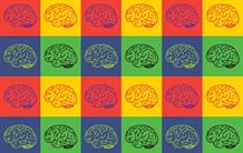 Alzheimer : les mini-cerveaux à la rescousse ?