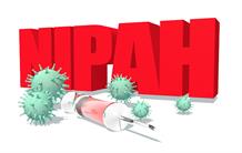 Biologie structurale : mieux connaitre le virus Nipah