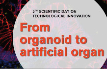 Webconférence - De l'organoïde à l'organe artificiel