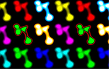Zoom 3D sur les ARNs long non codants