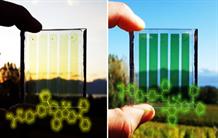 A first step towards photochromic photovoltaic window panes