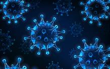 VIH : prédire in vitro l'efficacité d'anticorps
