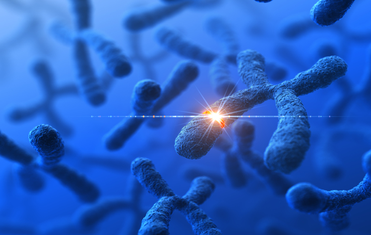 Cassures de l'ADN : comprendre les mécanismes pour évaluer les risques