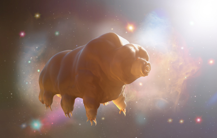 L’incroyable résistance des tardigrades aux stress environnementaux expliquée par un gel