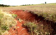 Mapping radioactive fallout from atmospheric nuclear tests to study soils in South America