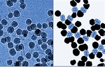 Protein crown around nanoparticles:   Size matters!
