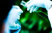 Accelerating green chemistry using artificial enzymes