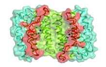 L’enzymologie de la modification des ARNt : un trésor pour les biochimistes