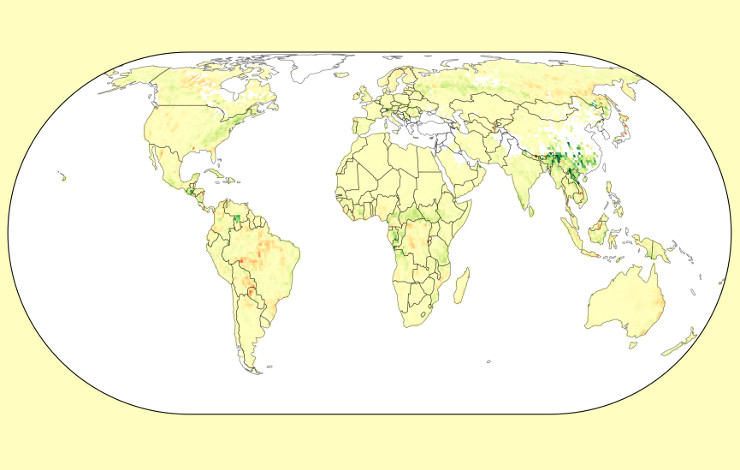Biomass Carbon Monitor: a new tool for monitoring carbon exchanges between forests and the atmosphere around the world