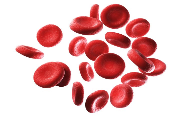 Une thérapie génique prometteuse pour la drépanocytose et la bêta-thalassémie « dépendante des transfusions » 