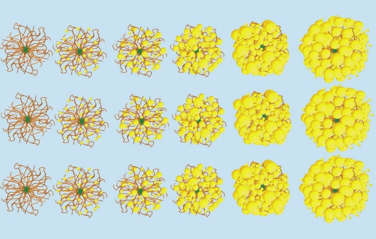 Comment fabriquer des nanoparticules dans des « moules » organiques de taille contrôlée 