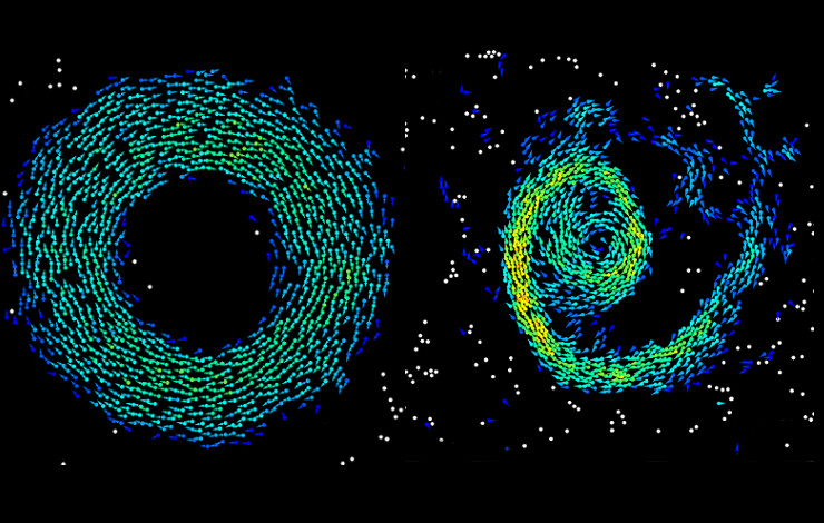 Rouleaux de Quincke : des ondes et des tourbillons dans la matière active sous-critique 