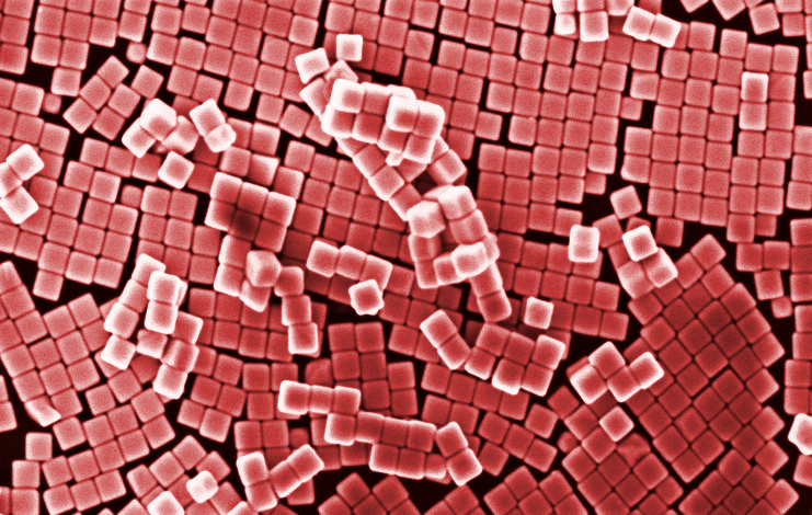 Plasmonique : synthèse à façon de nanoparticules d'or fonctionnalisées