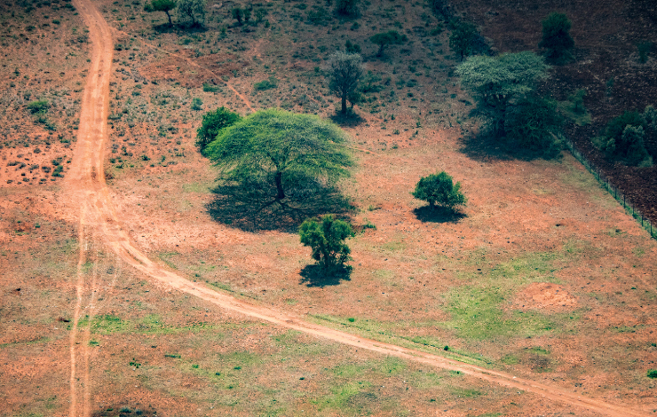 Une étude révolutionnaire mesure le carbone que recèlent les dix milliards d'arbres des régions sèches d’Afrique sub-saharienne