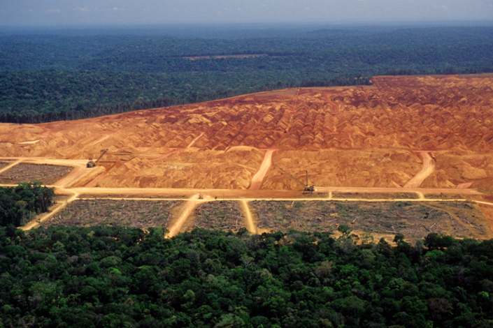 Forêts tropicales humides dégradées : des effets cachés sur le climat 