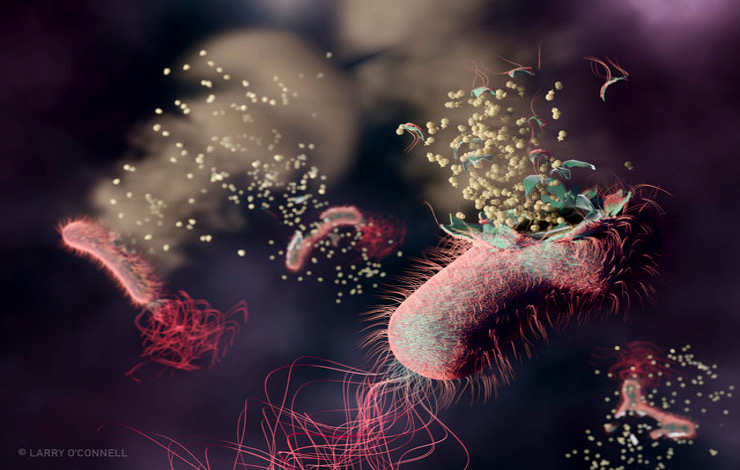 Bactériophages : des antibiotiques… et des diagnostics !