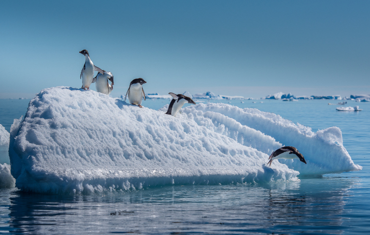 Le voile se lève sur le réchauffement de l’Antarctique
