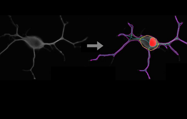 L’analyse cellulaire passe au haut débit !